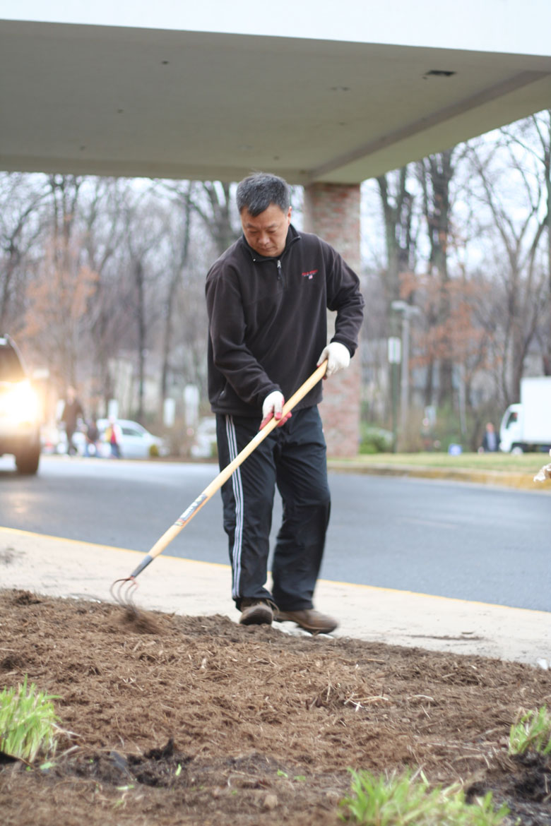 032809-mulch (13).jpg